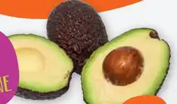 tegut Avocado Hass Angebot