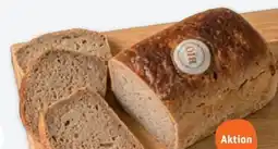 tegut Herzberger Bäckerei Bio-Roggen pur Angebot