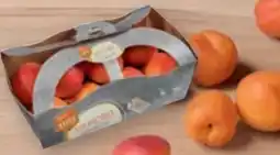 tegut tegut... Bio-Aprikosen Angebot