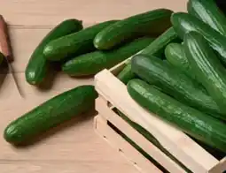 tegut Mini-Gurken Angebot