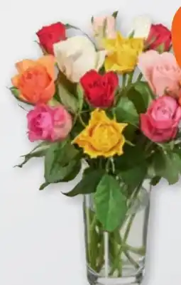 tegut Rosen Angebot