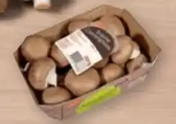 tegut tegut... Champignons Angebot
