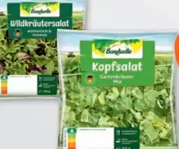 tegut Bonduelle Beutelsalat Angebot