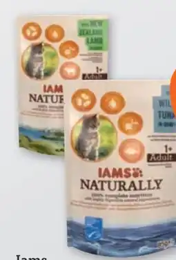 tegut Iams Katzennahrung Angebot