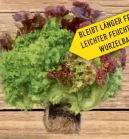 E-Center Ballensalat Trio Mix Angebot