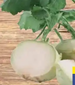 E-Center Kohlrabi Angebot