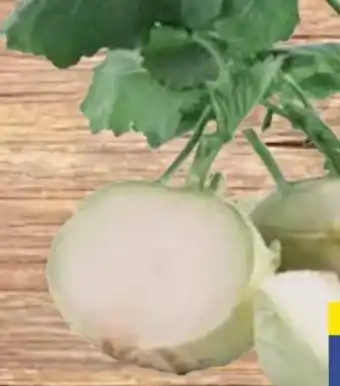 E-Center Kohlrabi Angebot