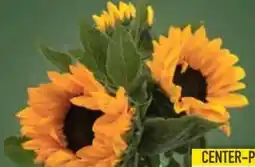 E-Center Sonnenblumenstrauß Angebot
