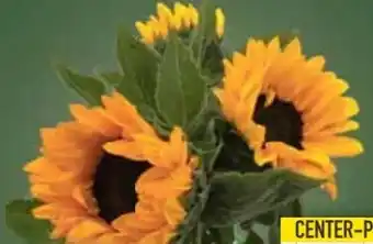 E-Center Sonnenblumenstrauß Angebot