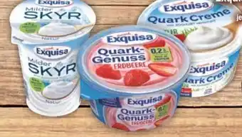 E-Center Exquisa Milder Skyr Angebot