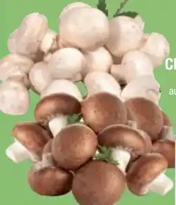E-Center Bio-Champignons Angebot