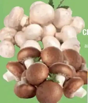 E-Center Bio-Champignons Angebot