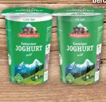 E-Center Berchtesgadener Land Cremiger Joghurt Mild Angebot