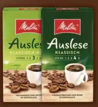 E-Center Melitta Auslese Klassisch Angebot