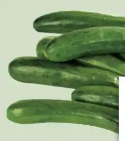 Edeka Xpress Bio-Zucchini Angebot
