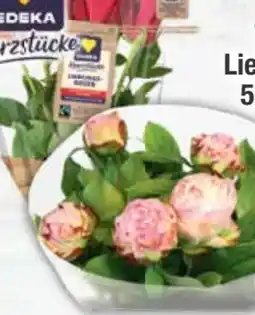 E-Center Lieblingsrosen Angebot