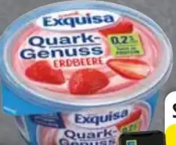 Edeka Exquisa Skyr Angebot