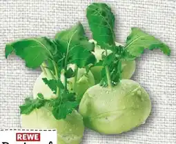 nahkauf Rewe Regional Kohlrabi Angebot