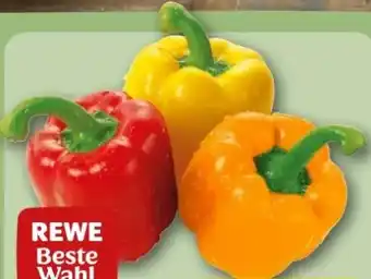 REWE Center Rewe Beste Wahl Paprika Mix Angebot