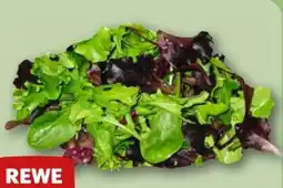 REWE Center Rewe Beste Wahl Wildkräuter Salat Angebot