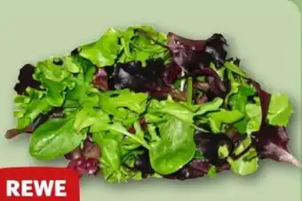 REWE Center Rewe Beste Wahl Wildkräuter Salat Angebot