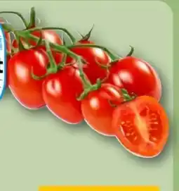 REWE Center Rewe Regional Mini Roma Rispentomaten Aromatica Angebot