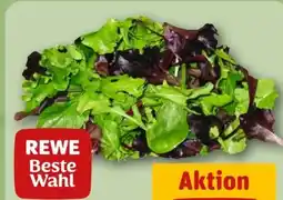 REWE Rewe Beste Wahl Wildkräuter Salat Angebot