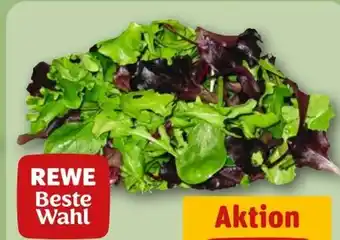 REWE Rewe Beste Wahl Wildkräuter Salat Angebot