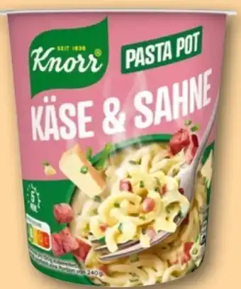 REWE Knorr Pasta Pot Käse & Sahne Angebot