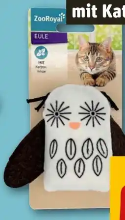 REWE ZooRoyal Katzen Eule Angebot