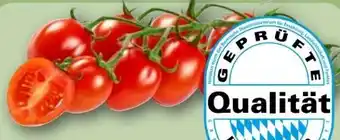 REWE Rewe Regional Rispentomaten Angebot