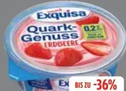 Edeka Frischemarkt Exquisa Quark Genuss Angebot