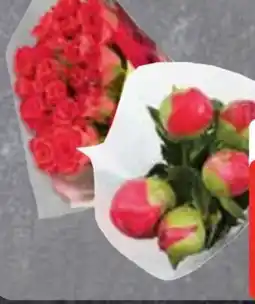 Edeka Premium Pfingstrosen Angebot