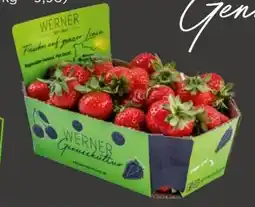 REWE Center Werner Genusskultur Erdbeeren Angebot