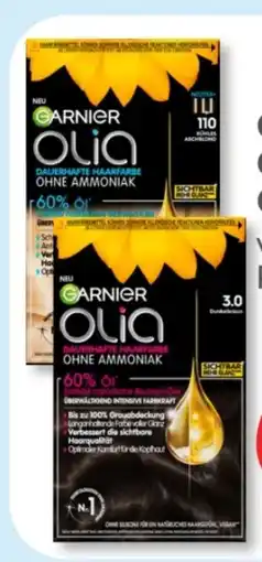 Budni Garnier Olia Coloration Angebot