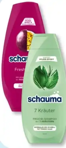 Budni Schwarzkopf Schauma Shampoo Angebot