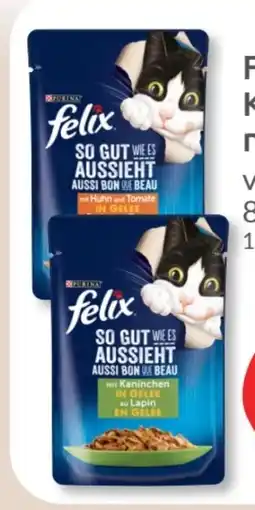 Budni Purina Felix Katzennahrung Angebot