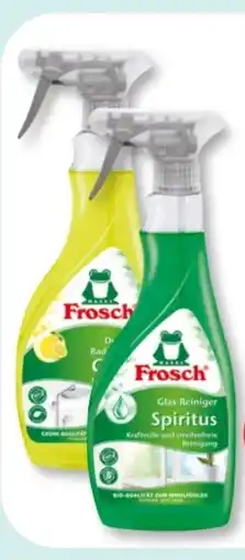 Budni Frosch Glas-Reiniger Angebot