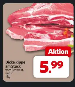 Markant Dicke rippe am stück Angebot