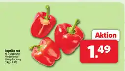 Markant Paprika rot Angebot