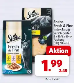 Markant Sheba fresh & fine oder soup Angebot