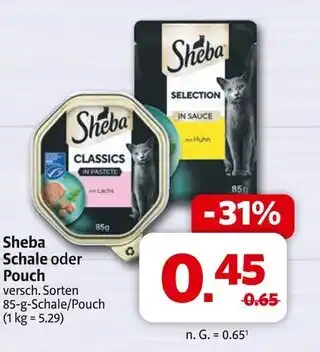 Markant Sheba schale oder pouch Angebot