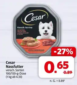 Markant Cesar nassfutter Angebot