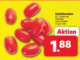 Markant Datteltomaten Angebot