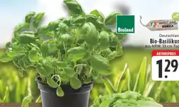 Edeka Bioland bio-basilikum Angebot