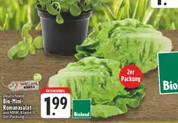 Edeka Bioland bio-mini-romanasalat Angebot