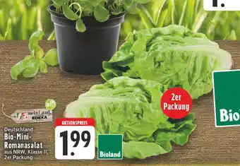 Edeka Bioland bio-mini-romanasalat Angebot
