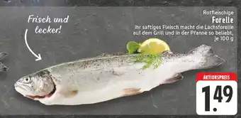 Edeka Rotfleischige forelle Angebot