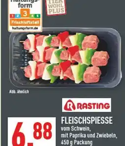 Marktkauf Rasting fleischspiesse Angebot