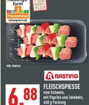 Marktkauf Rasting fleischspiesse Angebot